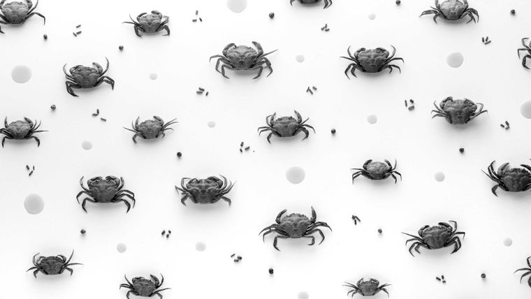 Crabs arranged in a pattern