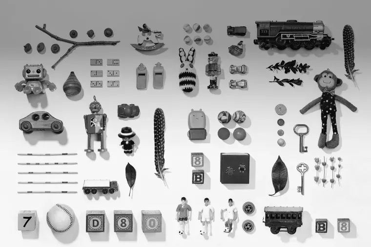 Toys arranged in a neat grid